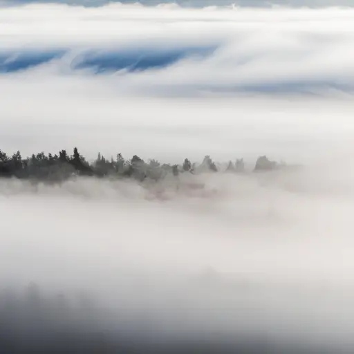 difference between mist and fog